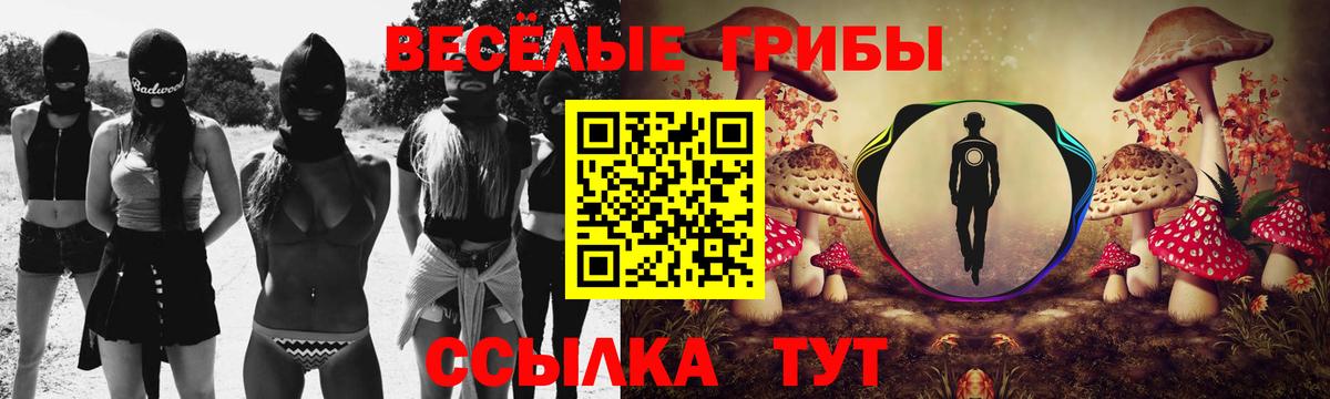 Псилоцибиновые грибы Psilocybe Клин